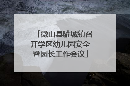 微山县驩城镇召开学区幼儿园安全暨园长工作会议