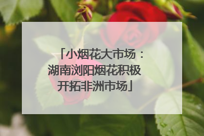 小烟花大市场：湖南浏阳烟花积极开拓非洲市场