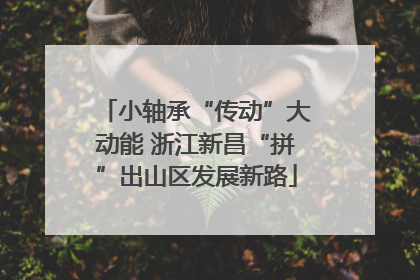 小轴承“传动”大动能 浙江新昌“拼”出山区发展新路