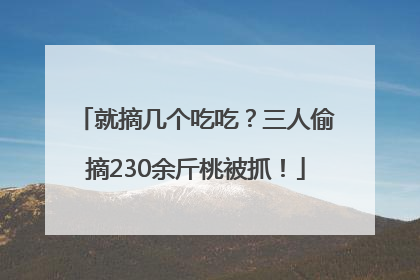 就摘几个吃吃？三人偷摘230余斤桃被抓！