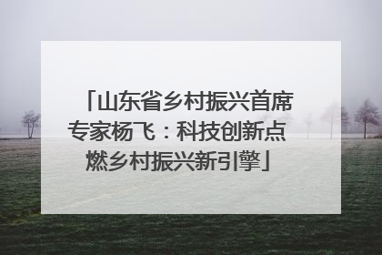 山东省乡村振兴首席专家杨飞：科技创新点燃乡村振兴新引擎
