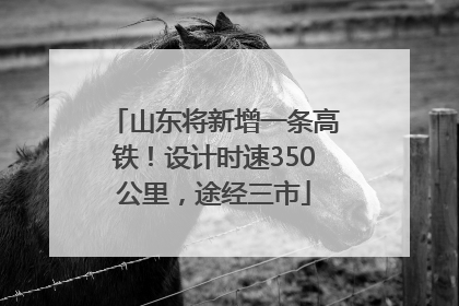 山东将新增一条高铁！设计时速350公里，途经三市