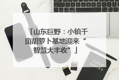 山东巨野：小镇千亩胡萝卜基地迎来“智慧大丰收”