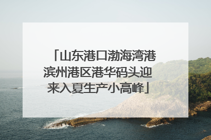 山东港口渤海湾港滨州港区港华码头迎来入夏生产小高峰