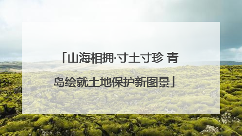 山海相拥·寸土寸珍 青岛绘就土地保护新图景
