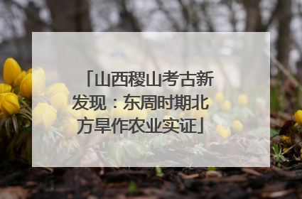 山西稷山考古新发现：东周时期北方旱作农业实证