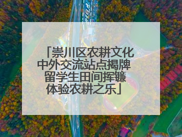 崇川区农耕文化中外交流站点揭牌 留学生田间挥镰体验农耕之乐