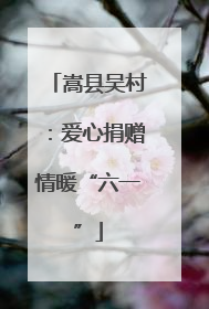 嵩县吴村：爱心捐赠情暖“六一”