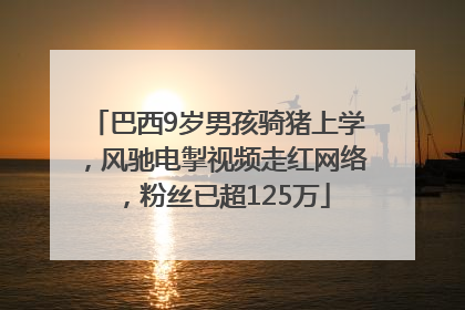 巴西9岁男孩骑猪上学，风驰电掣视频走红网络，粉丝已超125万