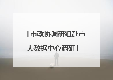 市政协调研组赴市大数据中心调研
