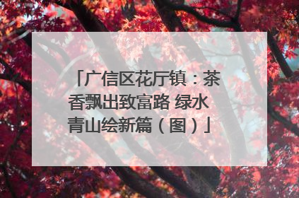 广信区花厅镇：茶香飘出致富路 绿水青山绘新篇（图）