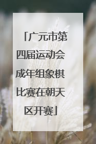 广元市第四届运动会成年组象棋比赛在朝天区开赛