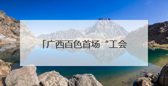 广西百色首场“工会帮就业”直播落幕