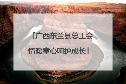 广西东兰县总工会情暖童心呵护成长