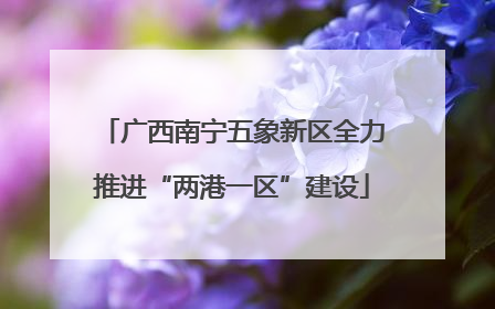 广西南宁五象新区全力推进“两港一区”建设