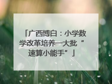 广西博白：小学数学改革培养一大批“速算小能手”