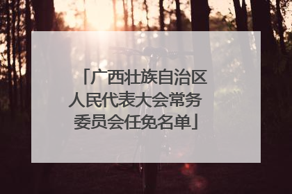 广西壮族自治区人民代表大会常务委员会任免名单