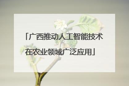 广西推动人工智能技术在农业领域广泛应用