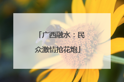 广西融水：民众激情抢花炮
