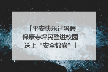 平安快乐过暑假 保康寺坪民警进校园送上“安全锦囊”