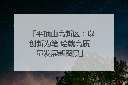 平顶山高新区：以创新为笔 绘就高质量发展新图景