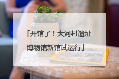 开馆了！大河村遗址博物馆新馆试运行