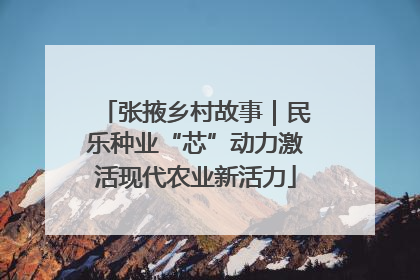 张掖乡村故事｜民乐种业“芯”动力激活现代农业新活力