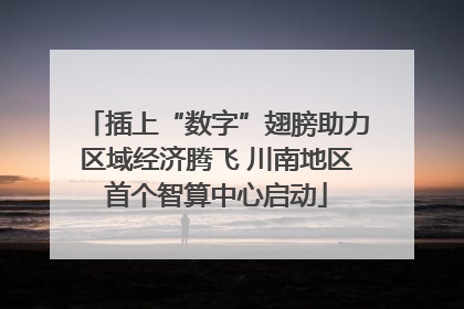 插上“数字”翅膀助力区域经济腾飞 川南地区首个智算中心启动