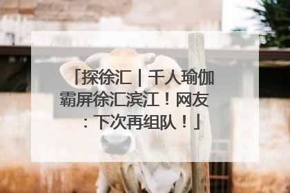 探徐汇｜千人瑜伽霸屏徐汇滨江！网友：下次再组队！