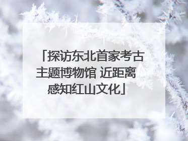 探访东北首家考古主题博物馆 近距离感知红山文化