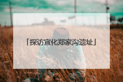 探访宣化郑家沟遗址
