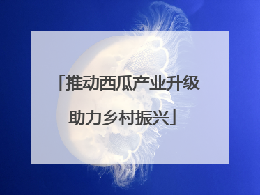 推动西瓜产业升级 助力乡村振兴