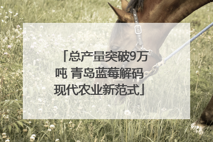 总产量突破9万吨 青岛蓝莓解码现代农业新范式