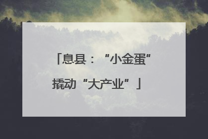 息县：“小金蛋”撬动“大产业”
