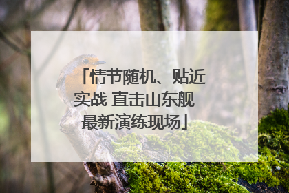 情节随机、贴近实战 直击山东舰最新演练现场