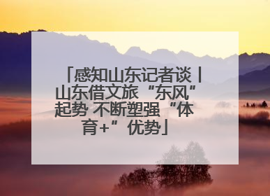 感知山东记者谈丨山东借文旅“东风”起势 不断塑强“体育+”优势