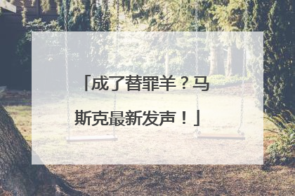 成了替罪羊？马斯克最新发声！