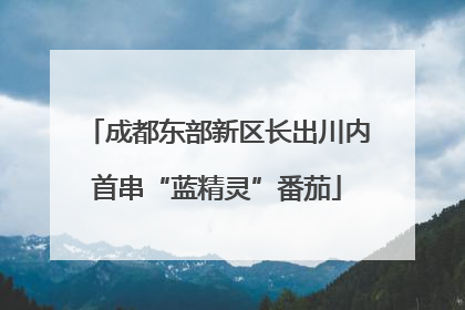 成都东部新区长出川内首串“蓝精灵”番茄