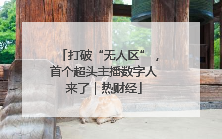 打破“无人区”，首个超头主播数字人来了｜热财经