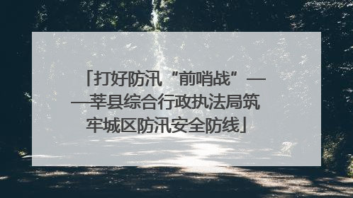 打好防汛“前哨战”——莘县综合行政执法局筑牢城区防汛安全防线