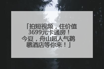 拍短视频，住价值3699元卡通房！今夏，舟山超人气鹈鹕酒店等你来！