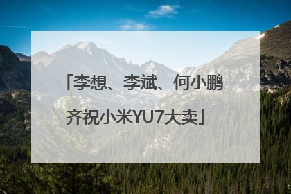 李想、李斌、何小鹏齐祝小米YU7大卖