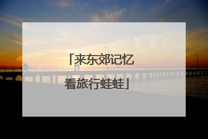 来东郊记忆 看旅行蛙蛙