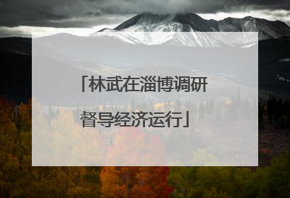 林武在淄博调研督导经济运行