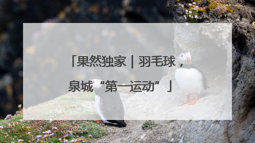 果然独家｜羽毛球，泉城“第一运动”