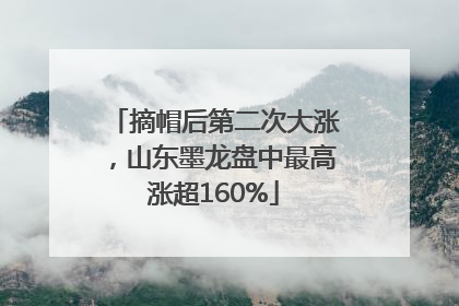 摘帽后第二次大涨，山东墨龙盘中最高涨超160%