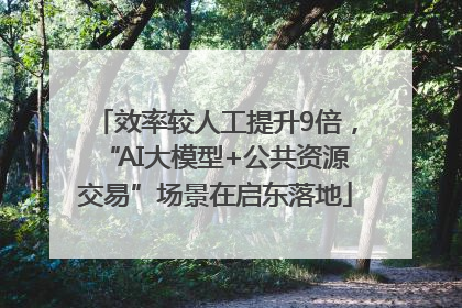效率较人工提升9倍，“AI大模型+公共资源交易”场景在启东落地