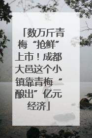 数万斤青梅“抢鲜”上市！成都大邑这个小镇靠青梅“酿出”亿元经济