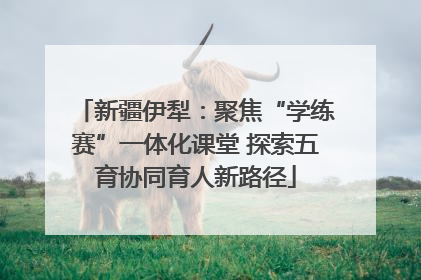 新疆伊犁：聚焦“学练赛”一体化课堂 探索五育协同育人新路径