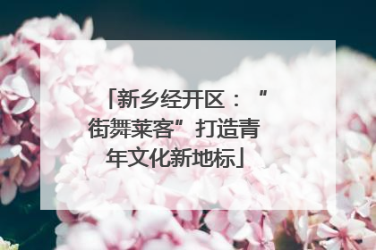 新乡经开区：“街舞莱客”打造青年文化新地标